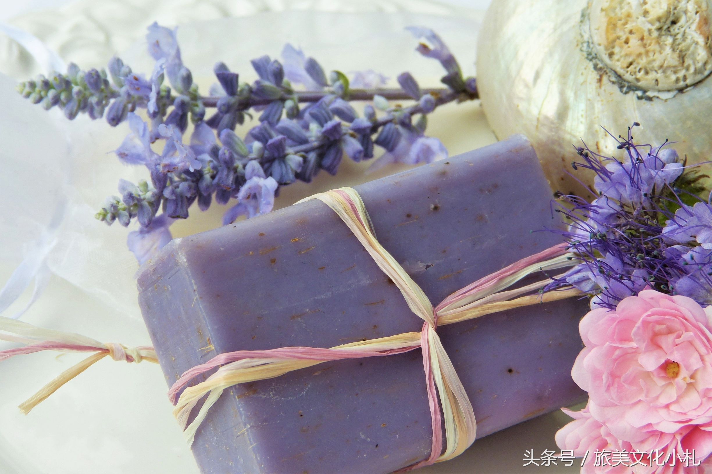 薰衣草花语代表爱情,衣草的花语是等待幸福