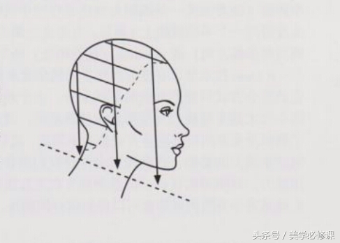 沙宣美发的十大基础知识,美发课程沙宣