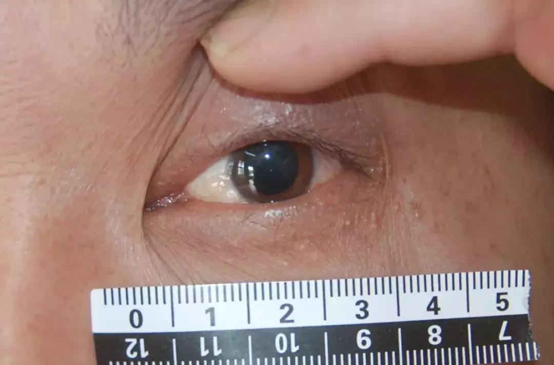 谁说解剖太枯燥？小编带你领略解剖学的精彩世界！