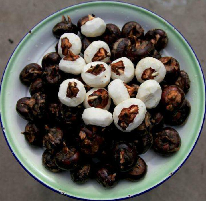 霜冻季节吃什么食物好,农村有6样东西以后最值钱