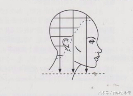 沙宣美发的十大基础知识,美发课程沙宣