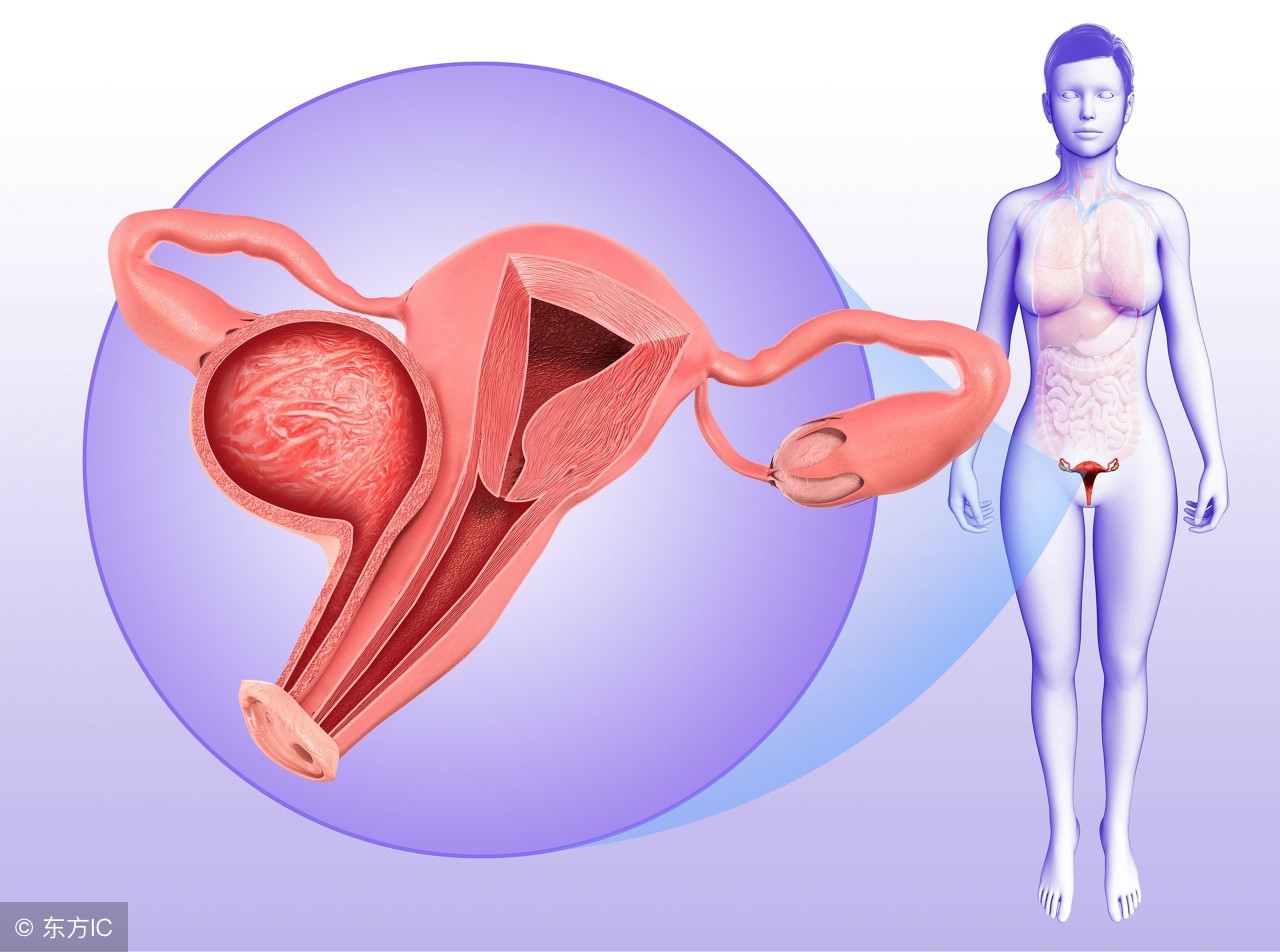 女性没有白带意味着健康干净吗,女性白带自我视察