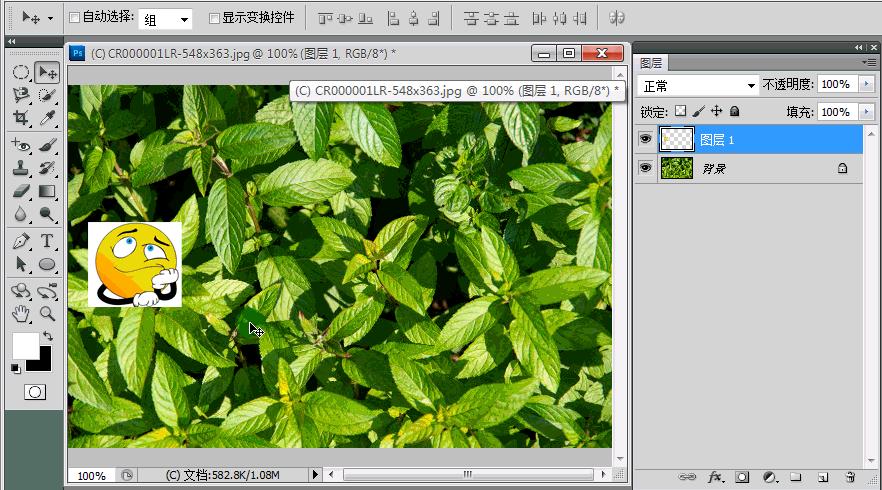 在ps中如何复制选区内容进新图层,ps怎么把图层复制到另一张图里