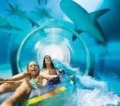 目前世界上最牛的公司,全球十大最创新公司