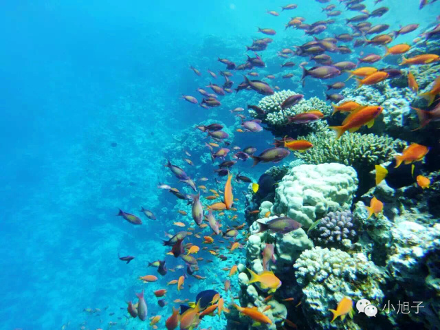 10个月走遍13个国家90后女生只身闯中东|美人记