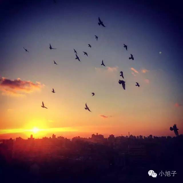 10个月走遍13个国家90后女生只身闯中东|美人记