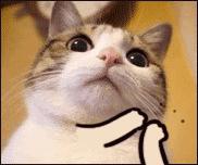 口服维c有美白的效果吗,感冒吃维c是不是好得快