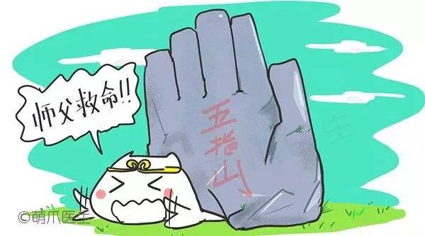 幼犬致命的几种病,幼犬一般都有啥传染病