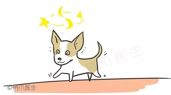 幼犬致命的几种病,幼犬一般都有啥传染病