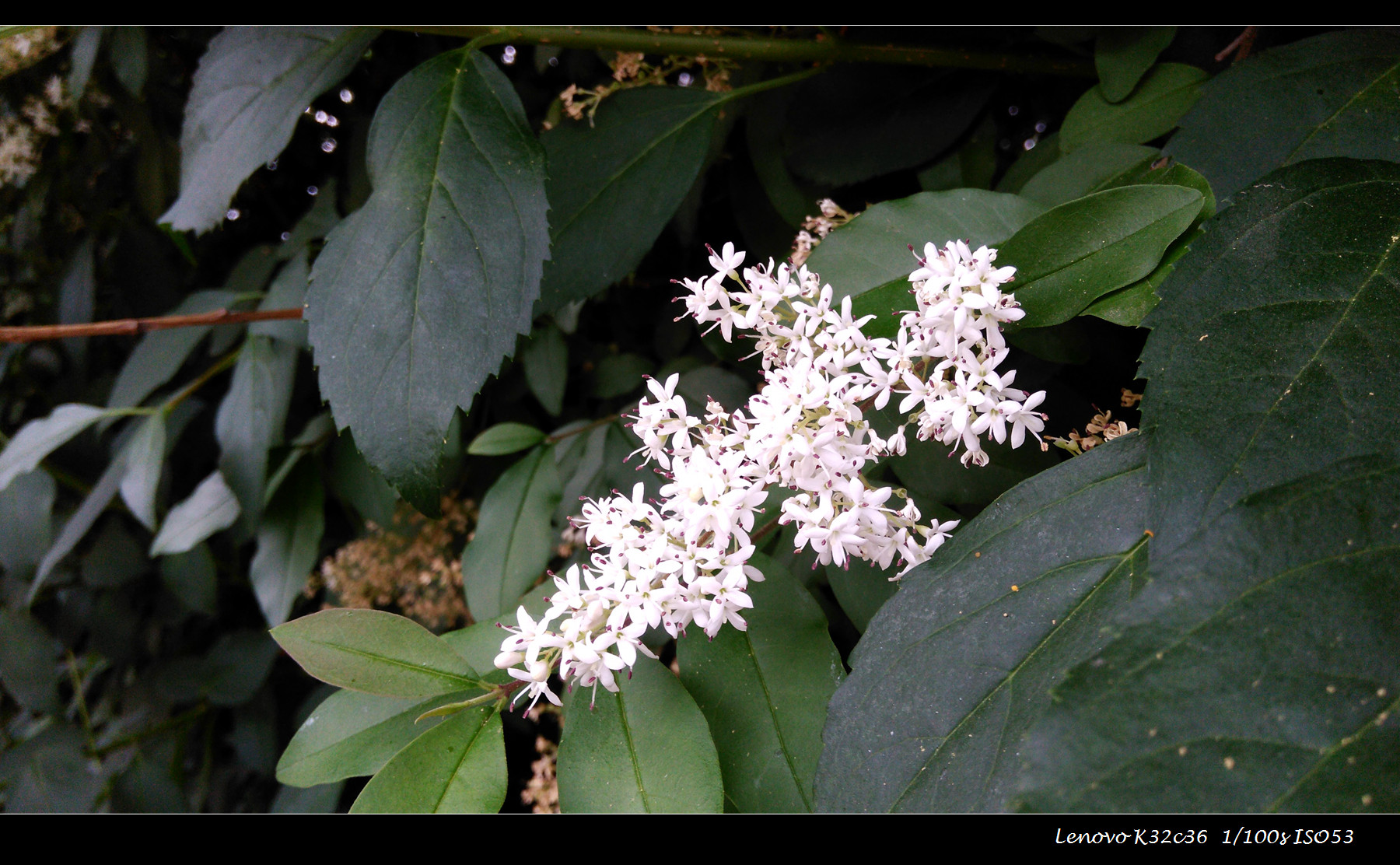 联想乐檬3的功能,乐檬3