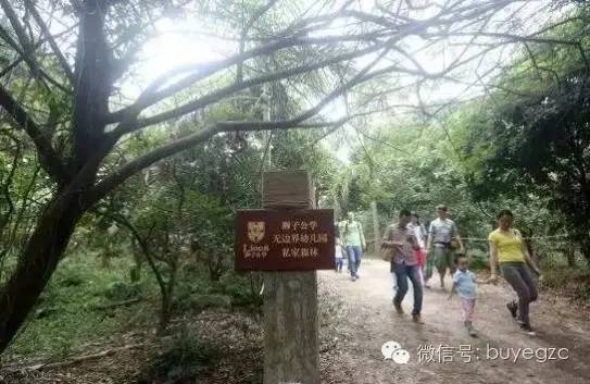 广州消费水平有多高,广州生活要多少钱