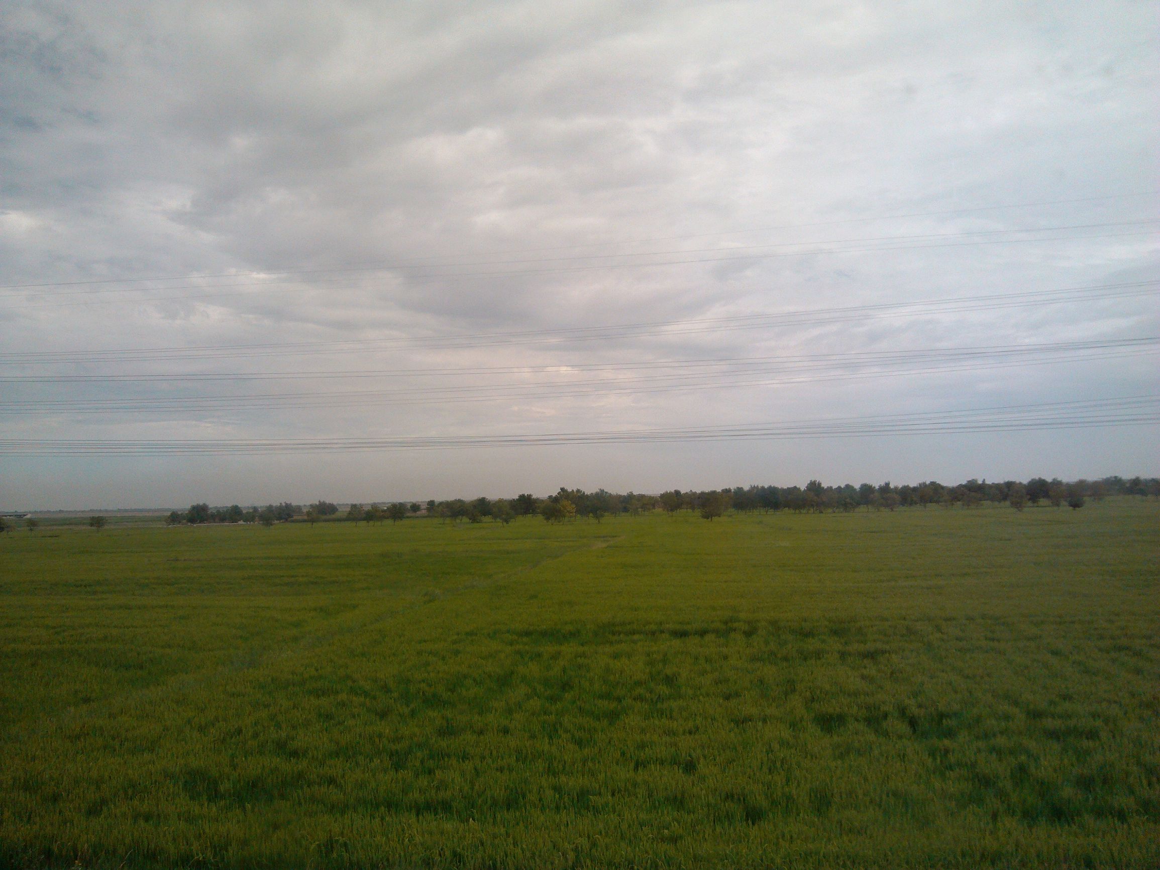 狂撒狗粮虐单身狗,银川精品一日游