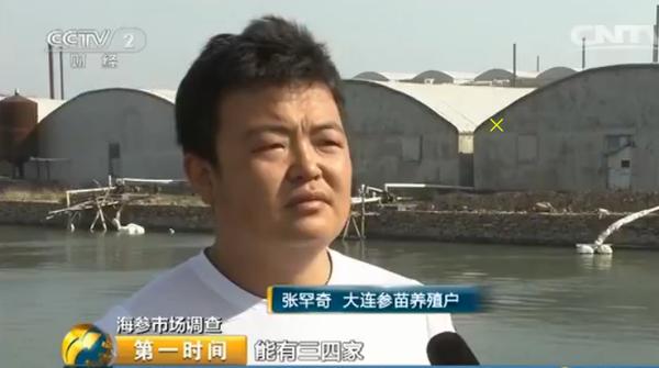 海参多少钱一斤比较合理呢,海参多少钱一斤算正常价格