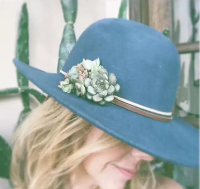 外国大神多肉,ins多肉