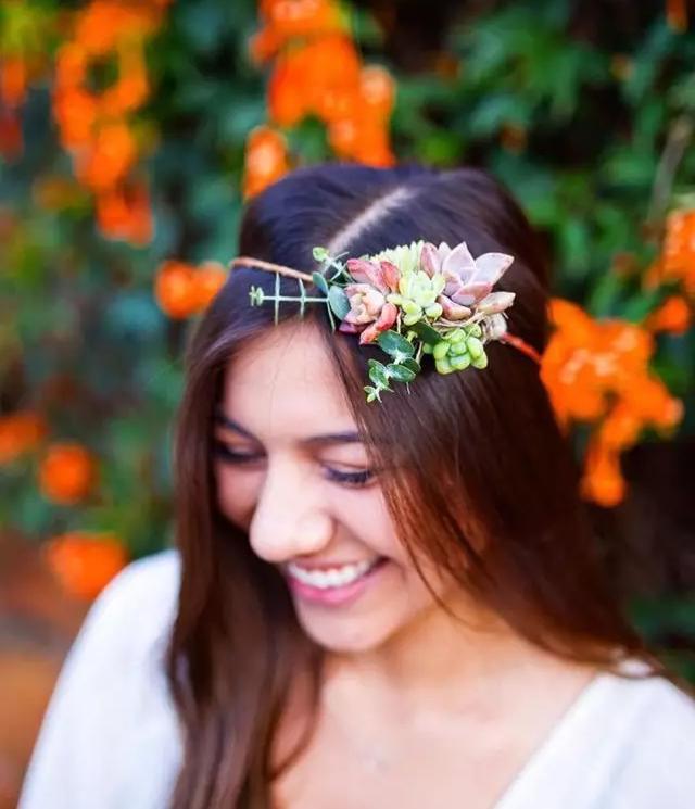 外国大神多肉,ins多肉