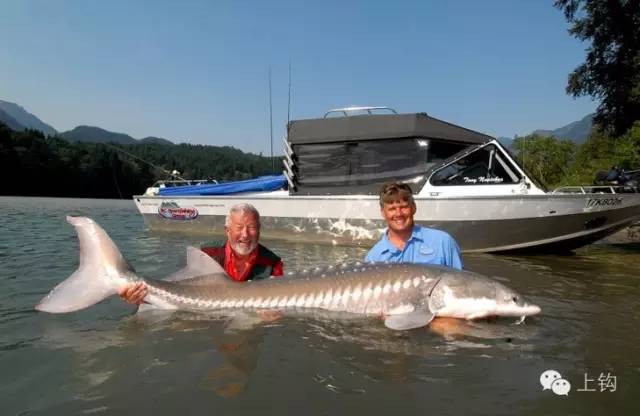 五分钟带你逛遍温哥华,带你吃遍温哥华