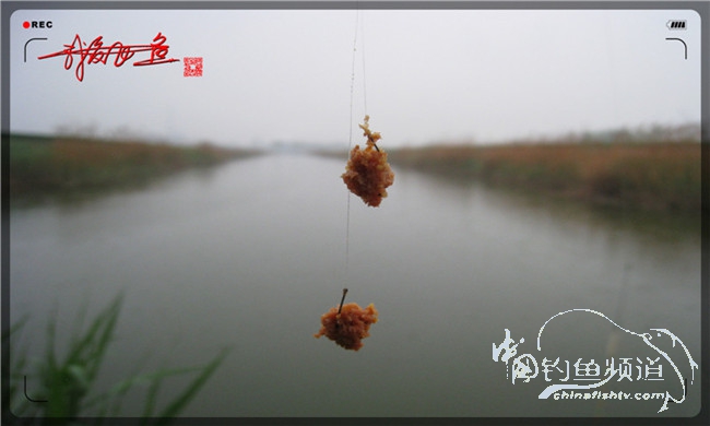 风雨无阻之我爱飞鱼去‘*欢寻**’！