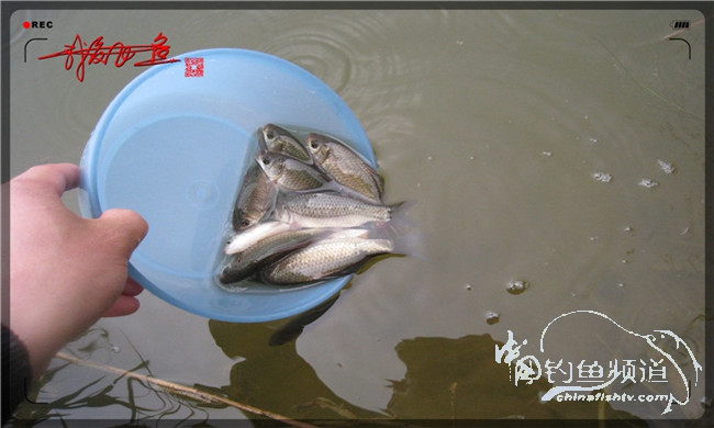 风雨无阻之我爱飞鱼去‘*欢寻**’！