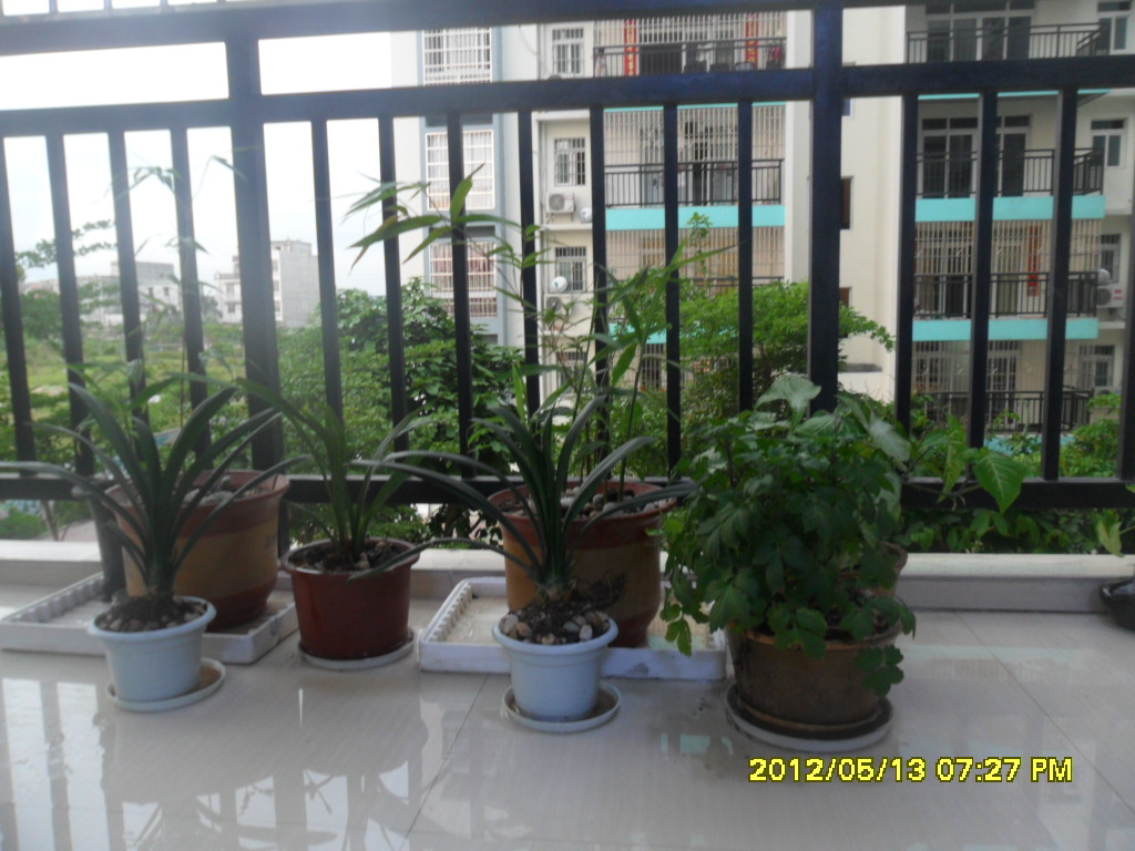 商品房3室一厅的装修图纸,1楼110平方4房1厅装修图纸