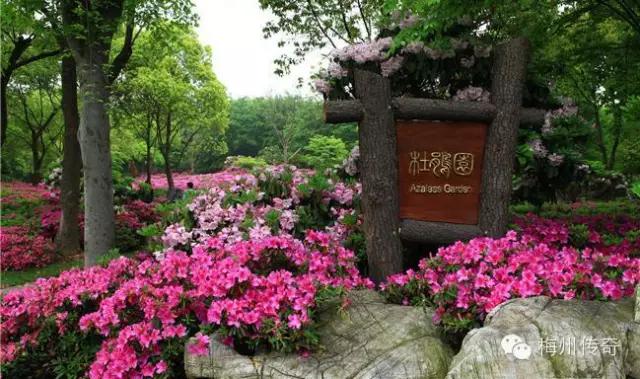 梅州客天下旅游产业园的特点,梅州梅县客天下5a级旅游区