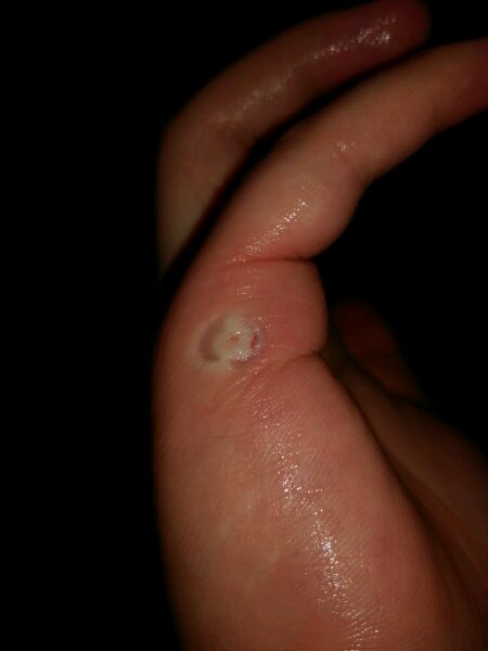 玩乌龟的下场有哪些,玩王八