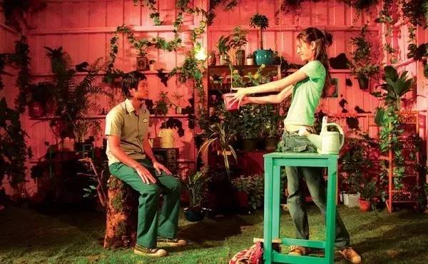 爱丽丝梦游仙境唯美风景,爱丽丝梦游仙境超美场景