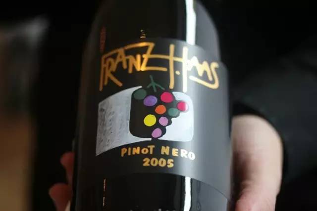 耐心看完你会感动吗,四大顶级黑皮诺葡萄酒