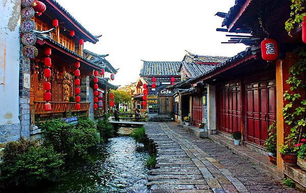 不顺心时候可以像疯狗那样发狂,不顺心的时候你可以像狗