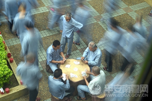 广州市精神病强制治疗所,广州市强制医疗所图片