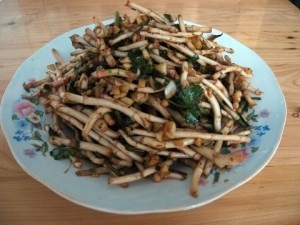 探寻长寿之乡的健康密码,鱼腥草长寿