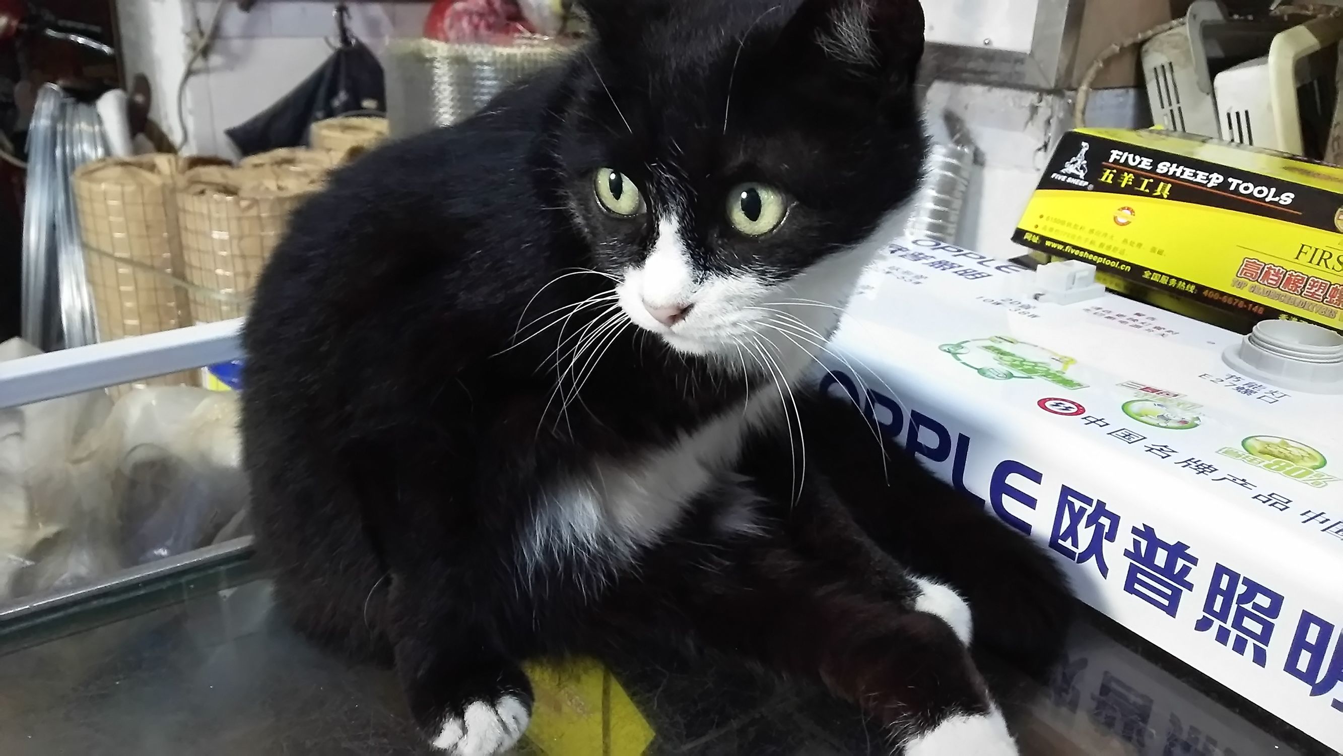 夏普402sh手机多少钱,夏普404无边框手机参数