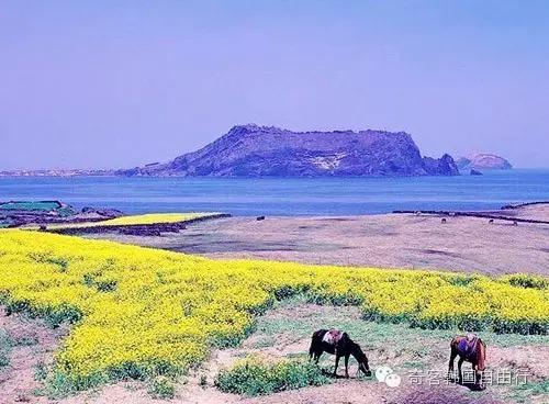 去济州岛玩不被拒签得关注哪些,济州岛拒签护照有拒签章吗