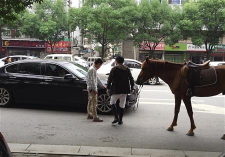 不是吧，宝马被马踹出了个洞！是马太强悍还是车子太脆弱？