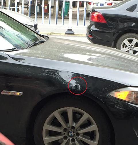 不是吧，宝马被马踹出了个洞！是马太强悍还是车子太脆弱？