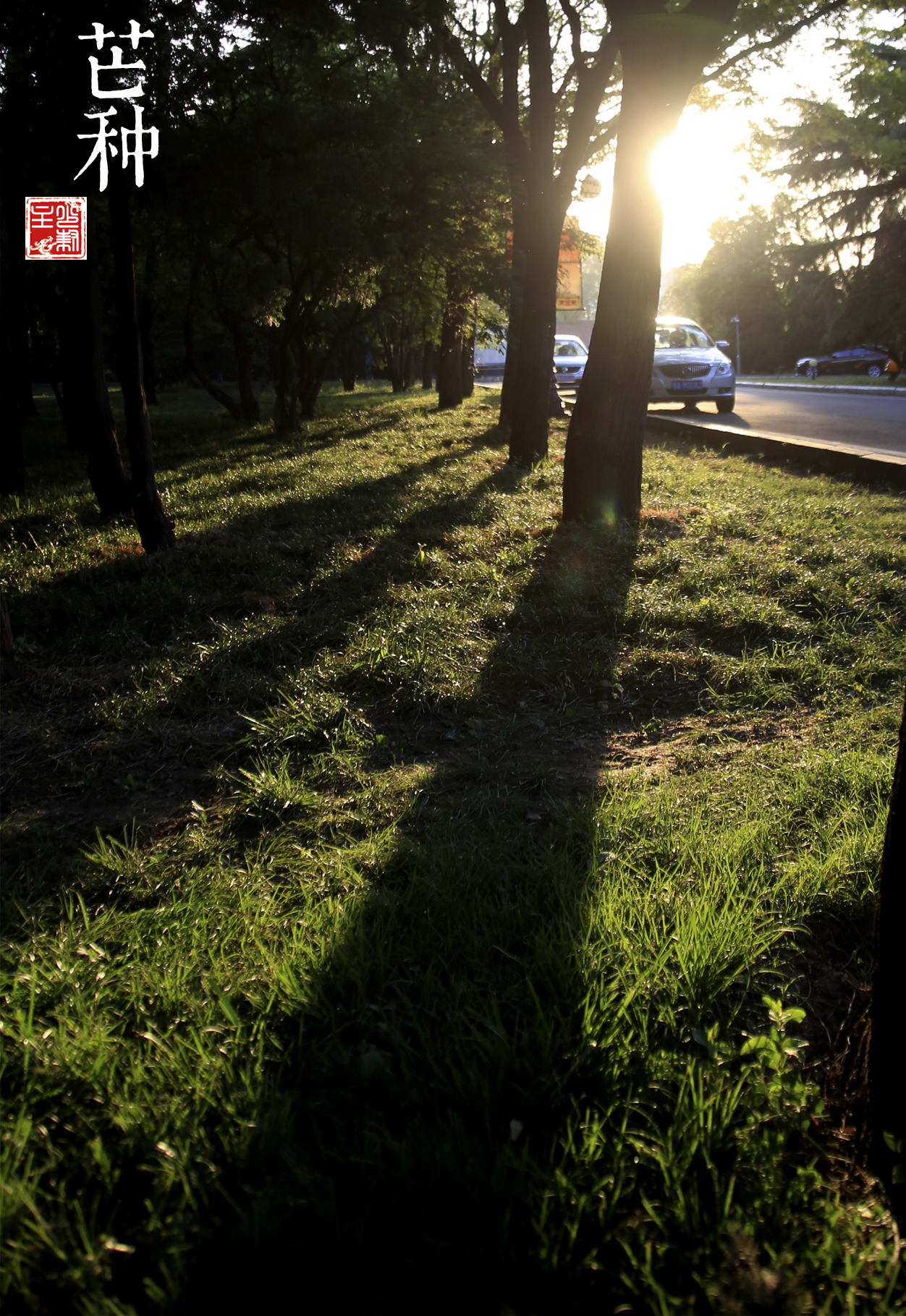 猴年马月是什么说法,猴年马月有什么说法
