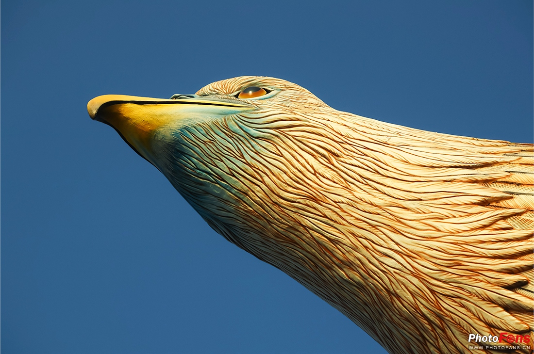 佳能g1xmarkiii测评,口袋怪兽vs小智