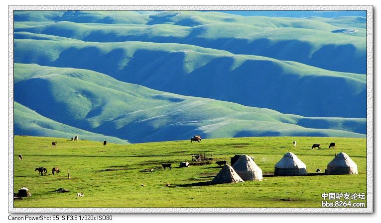 梦里花开——*疆新**，又一次的心动