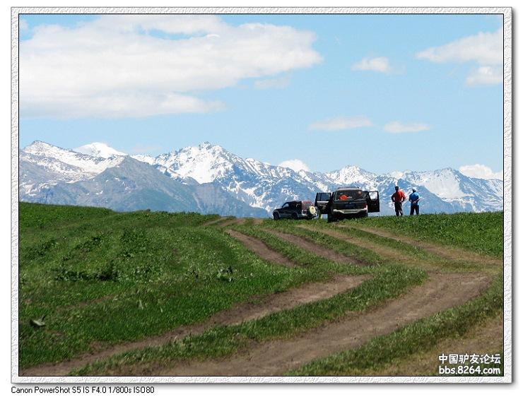 梦里花开——*疆新**，又一次的心动