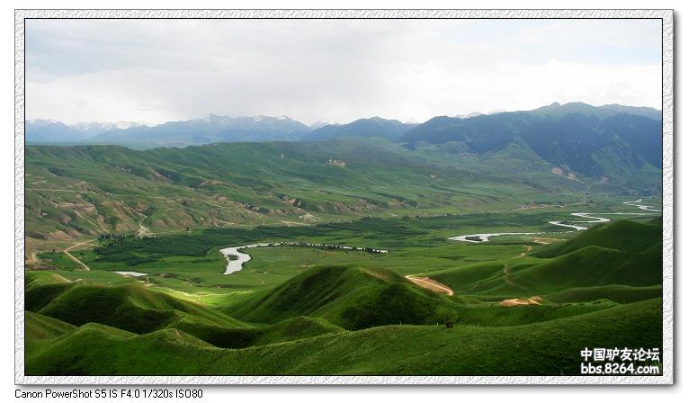 梦里花开——*疆新**，又一次的心动