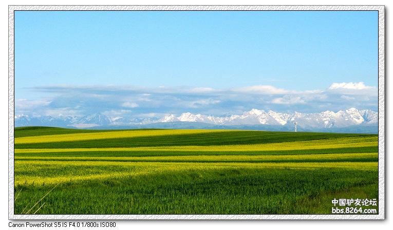梦里花开——*疆新**，又一次的心动