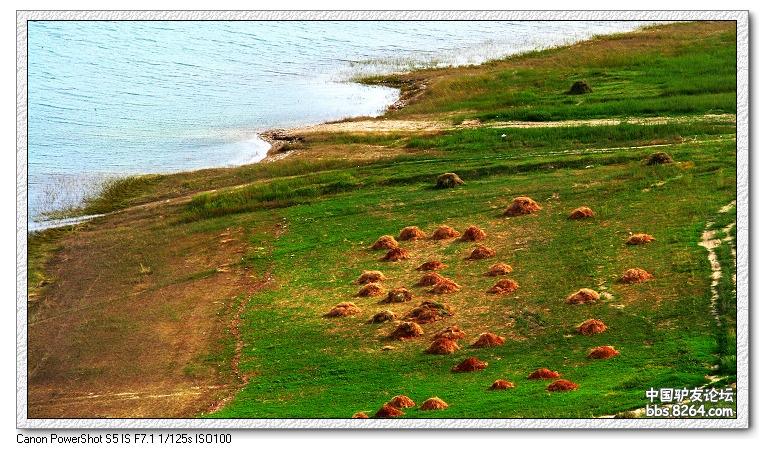 梦里花开——*疆新**，又一次的心动