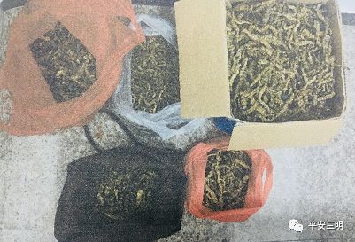 小心：三明街头又现“神奇草药”！*子骗**演“双簧”诈骗被判刑