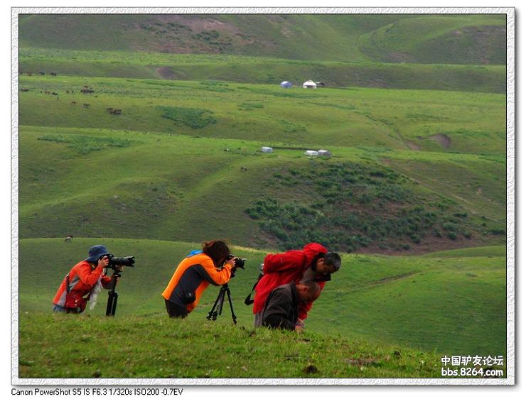 梦里花开——*疆新**，又一次的心动