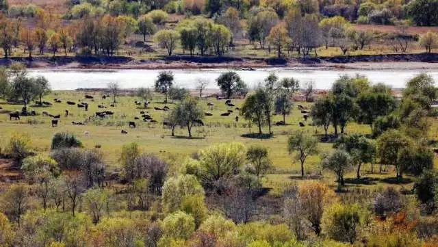 莫力达瓦我的家,莫力达瓦官网