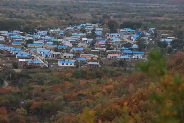 莫力达瓦我的家,莫力达瓦官网