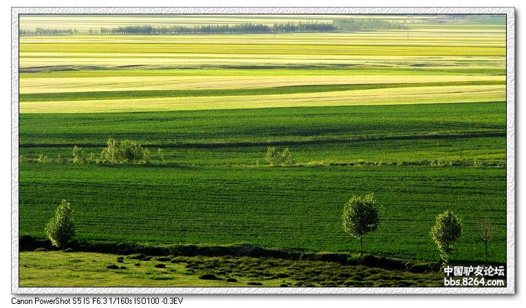 梦里花开——*疆新**，又一次的心动