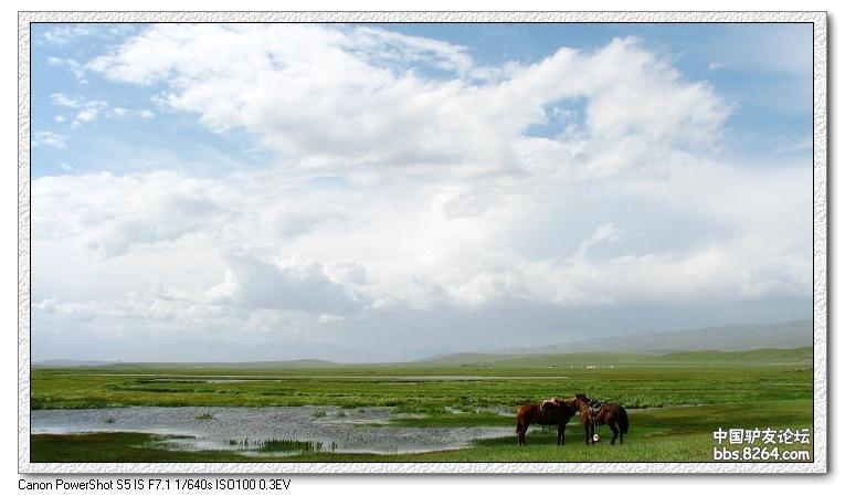 梦里花开——*疆新**，又一次的心动