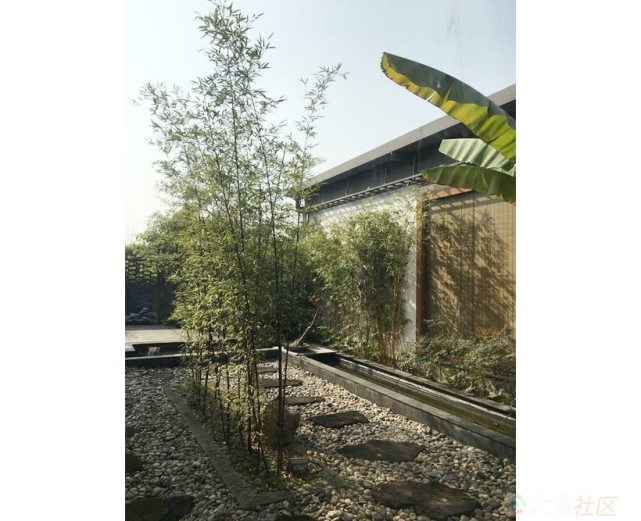 北滨路小资茶楼,北滨路茶室