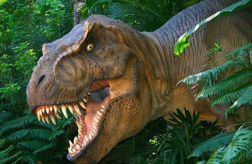 恐龙图片和名字介绍大全集 (儿童认识恐龙的名字和图片)