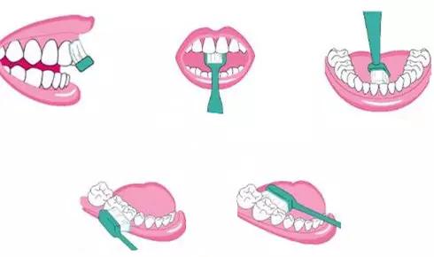 牙齿健康表,怎样判断牙齿的黄金比例